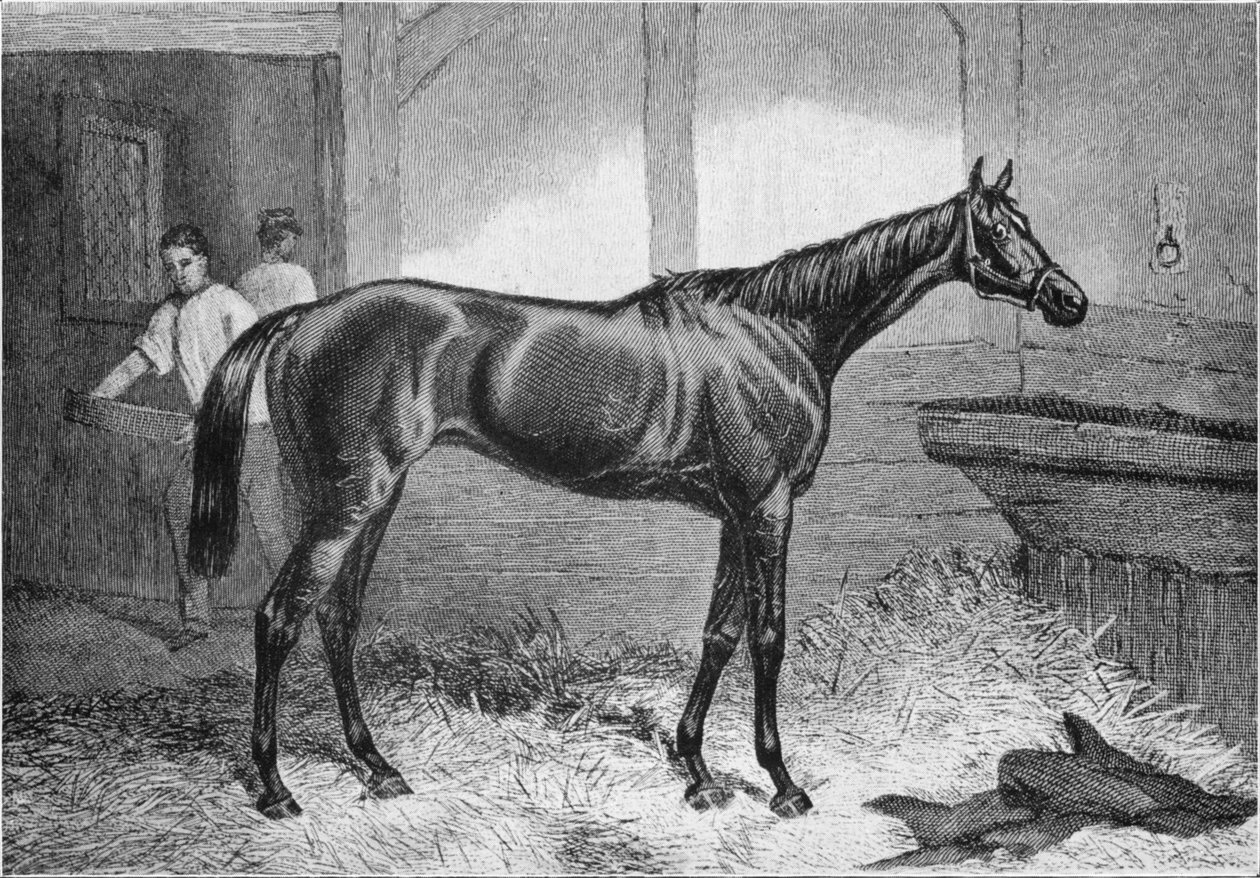 Brun hertiginna, 1800-talet, 1911 av Unbekannt
