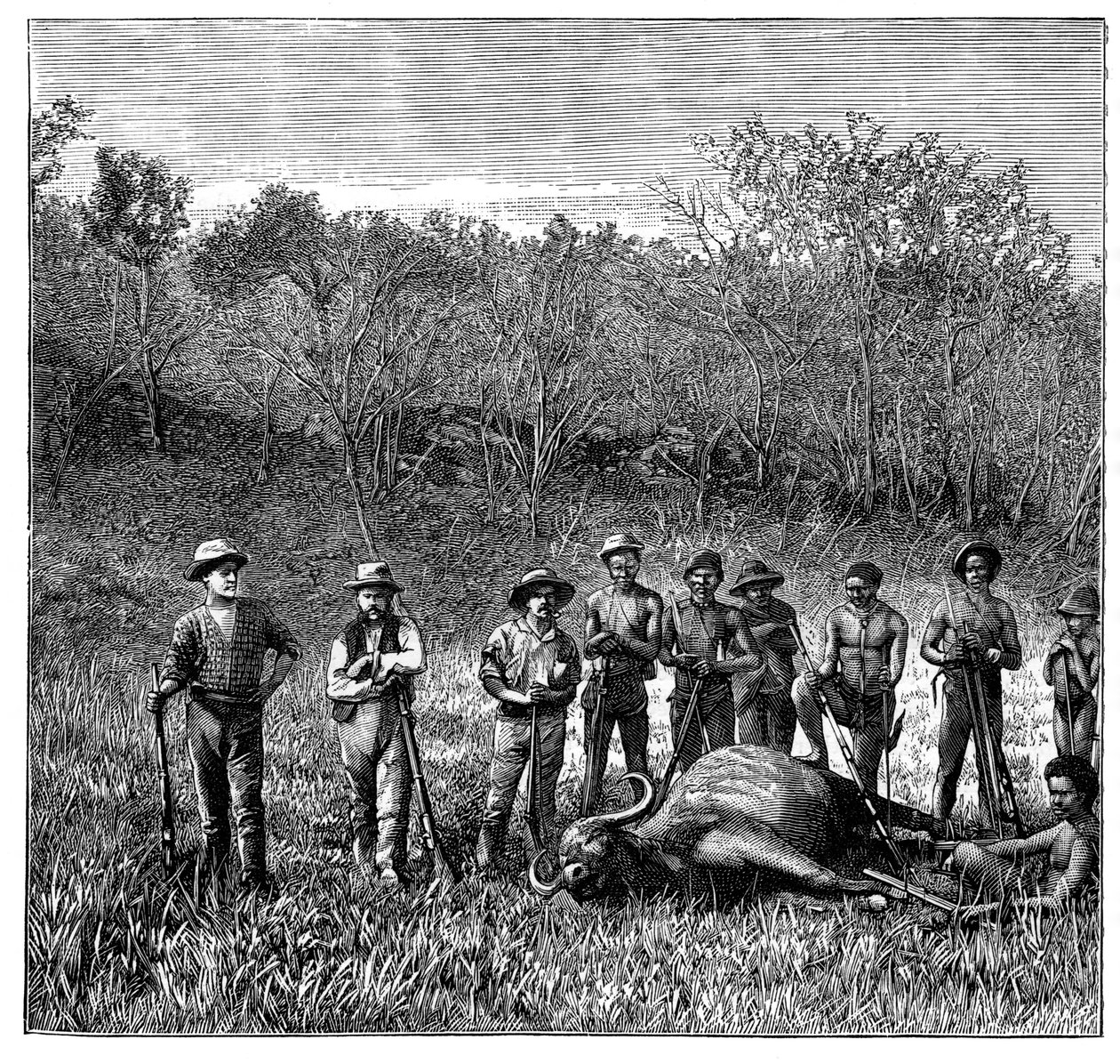 Buffeljägare i Transvaal, Sydafrika, c1890 av Unbekannt