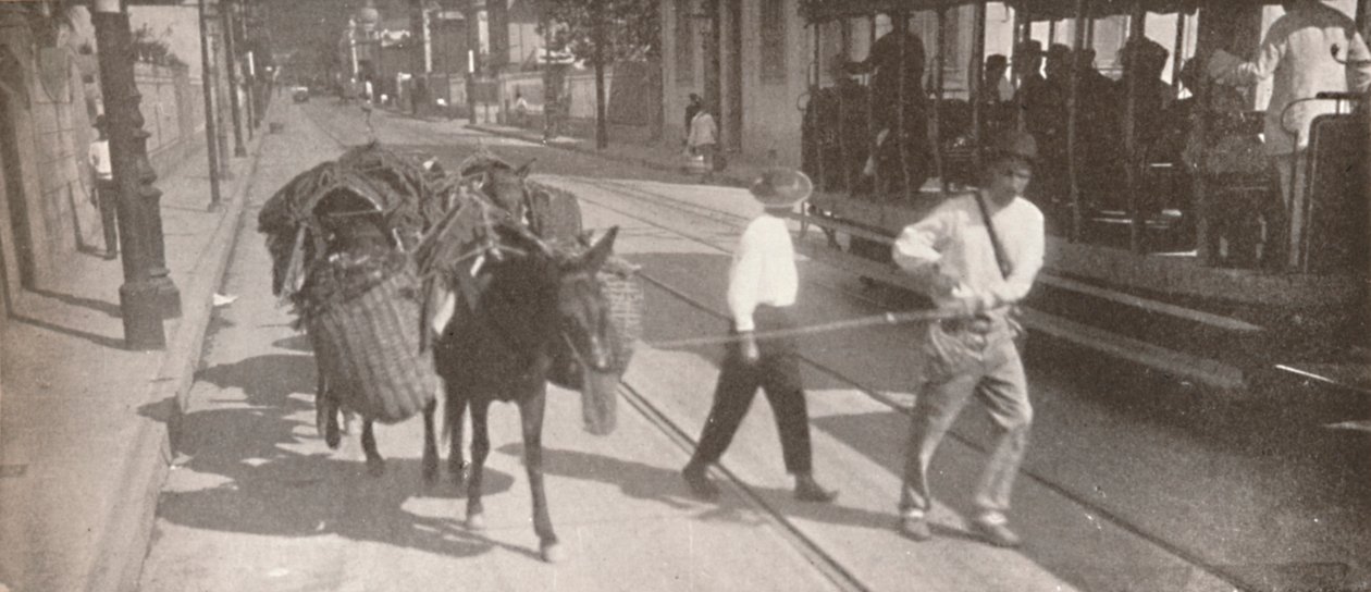 Med spårvagn och mula, 1914 av Unbekannt