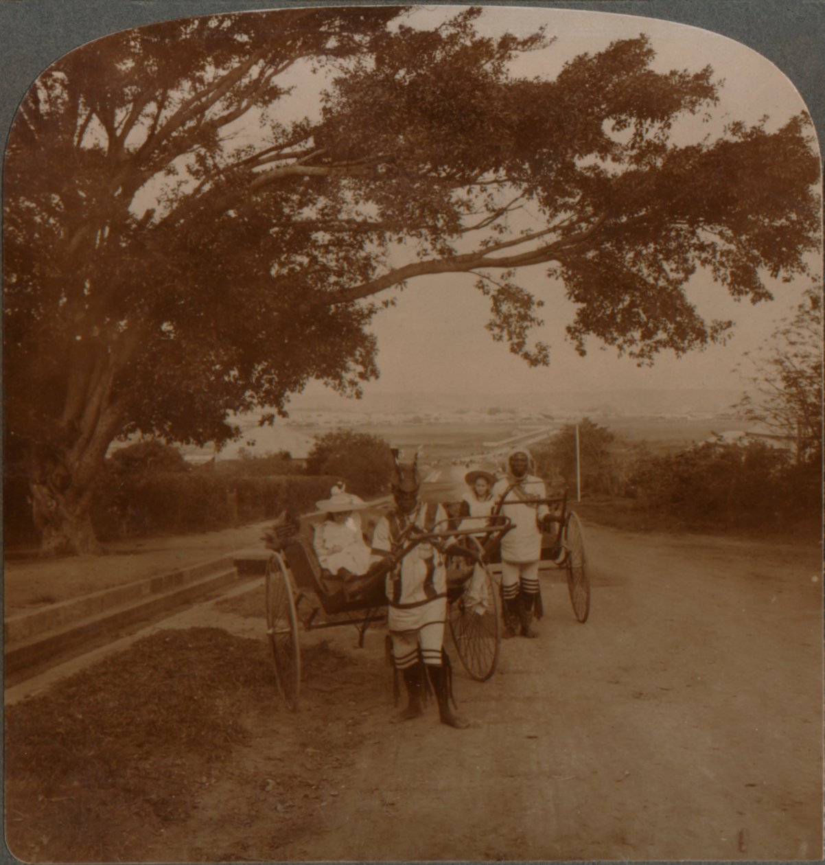 Hytter ritade av infödda på en residensväg, Durban, S. Afrika, c1900 av Unbekannt