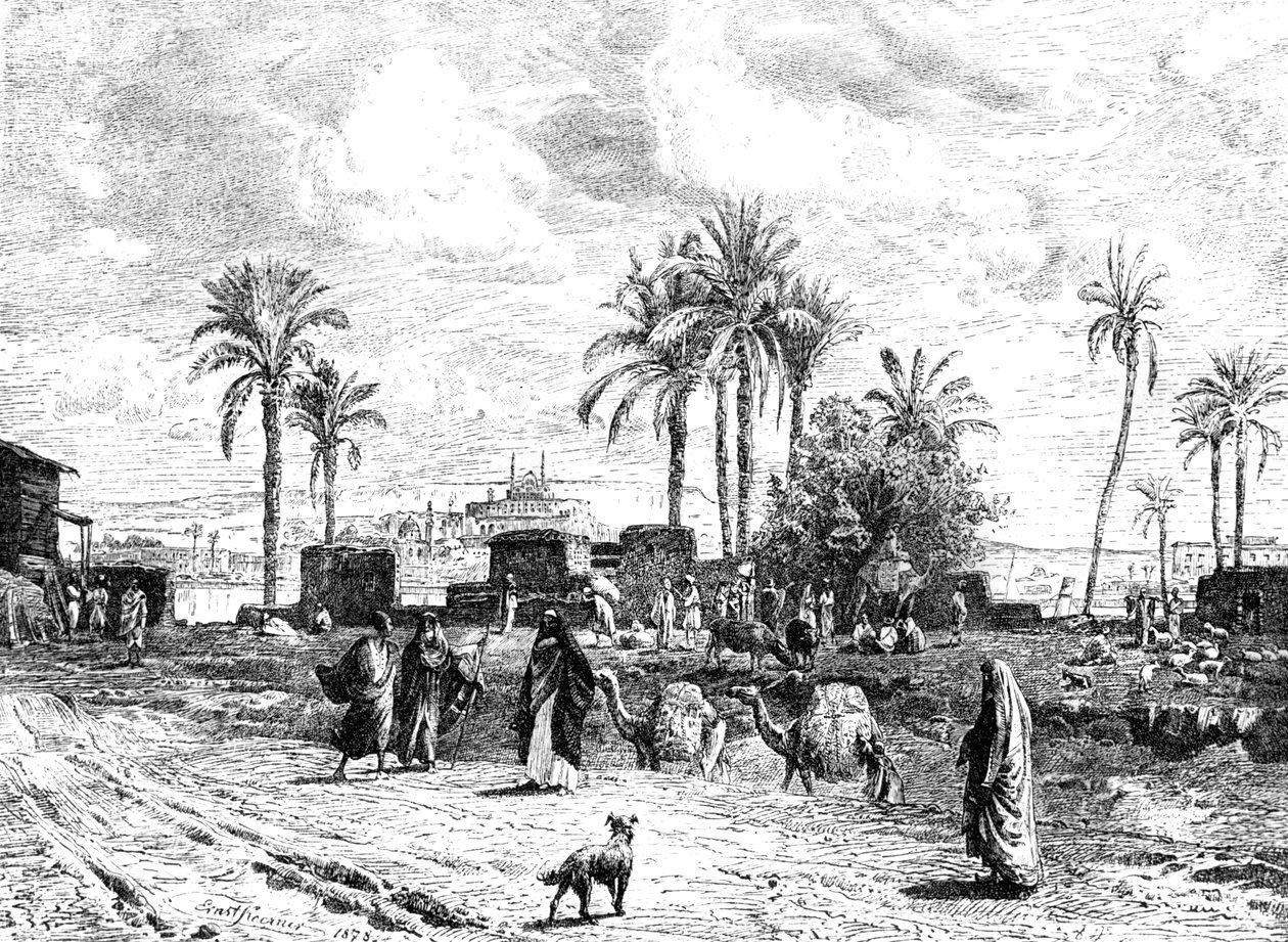 Kairo sett från Nilens vänstra strand, 1881 av Unbekannt