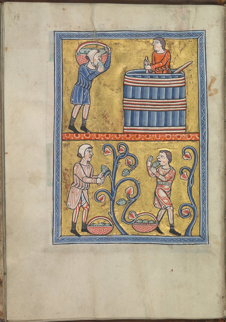 Kalender, september, män som plockar och trampar druvor - Psalter av Eleanor av Aquitaine (ca. 1185) - KB 76 F 13, folium 009v av Unbekannt