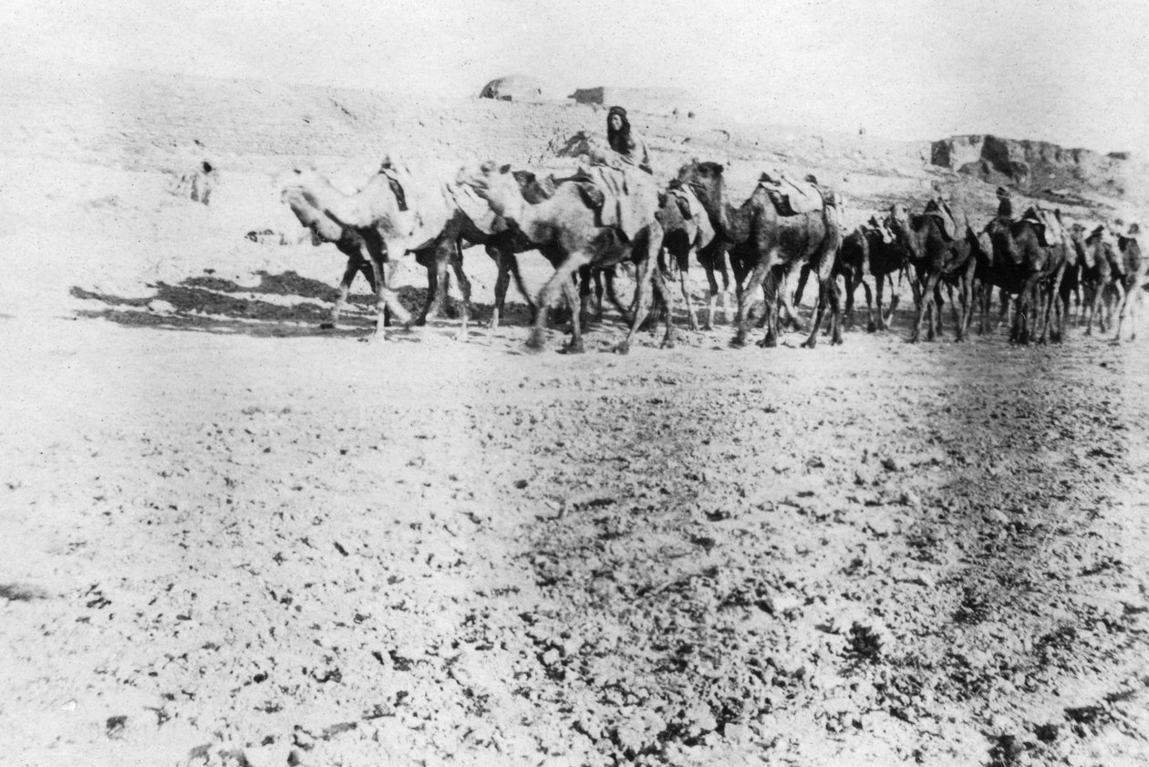 Kameltåg, Mosul, Mesopotamien, 1918 av Unbekannt