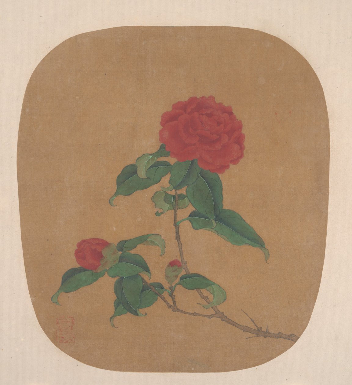 Camellia blommor. av Unbekannt