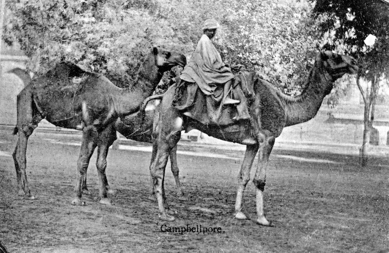 Campbellpore, Pakistan, 1900-talet av Unbekannt