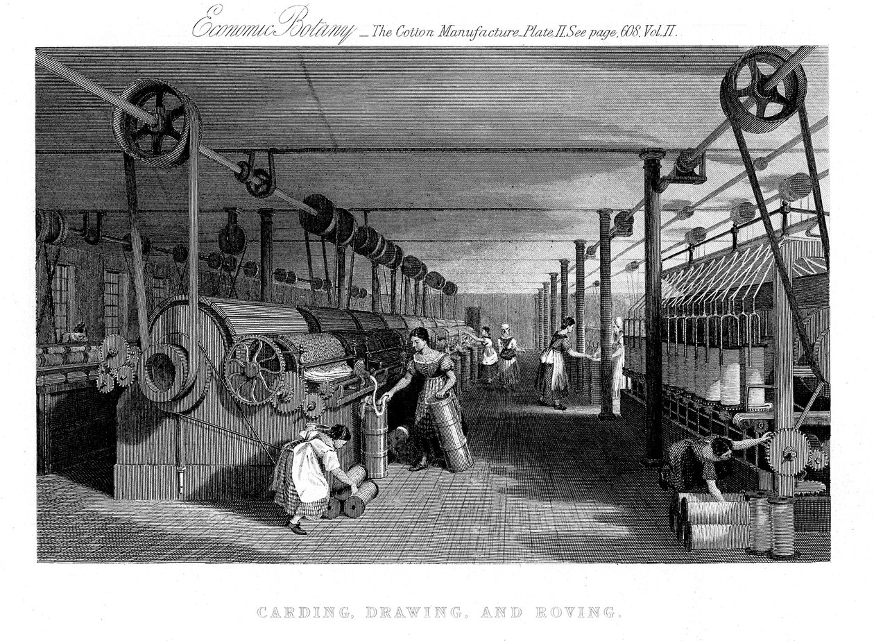 Kardning, teckning och strövande bomull, c1830 av Unbekannt