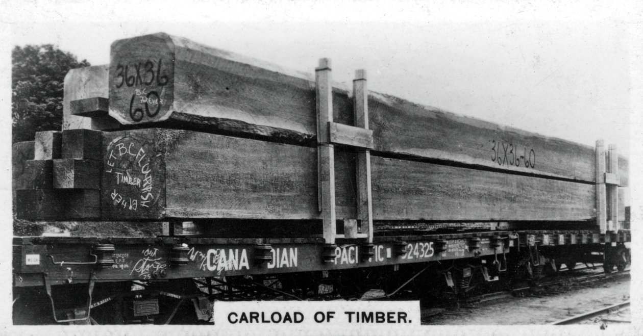 Last av douglasgran, Kanada, c1920-talet av Unbekannt
