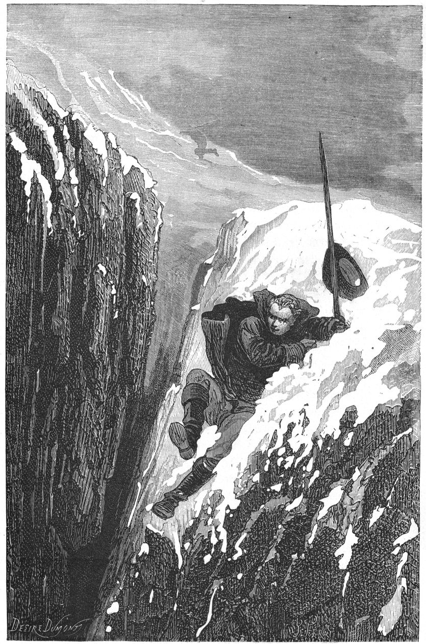 Carolus Linnaeus, svensk 1700-talsforskare och naturforskare, 1874 av Unbekannt
