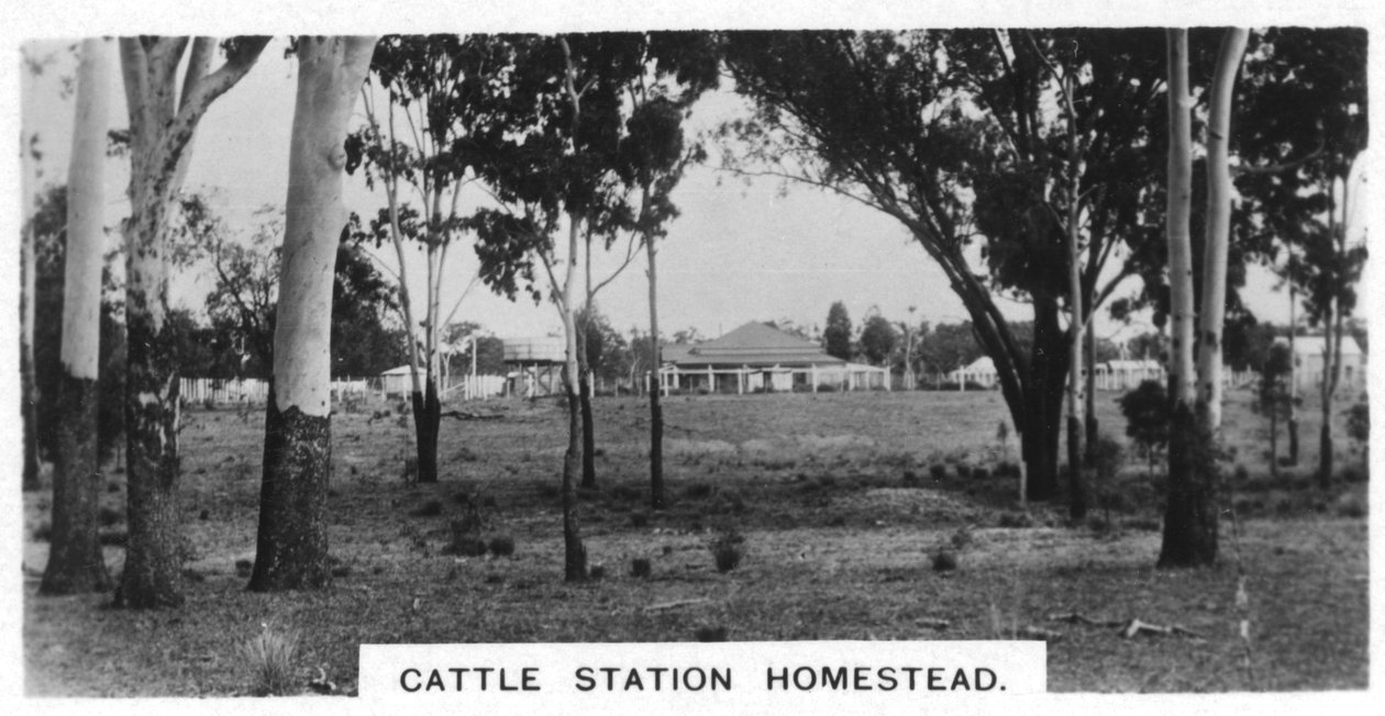 Cattle station homestead, Australien, 1928 av Unbekannt