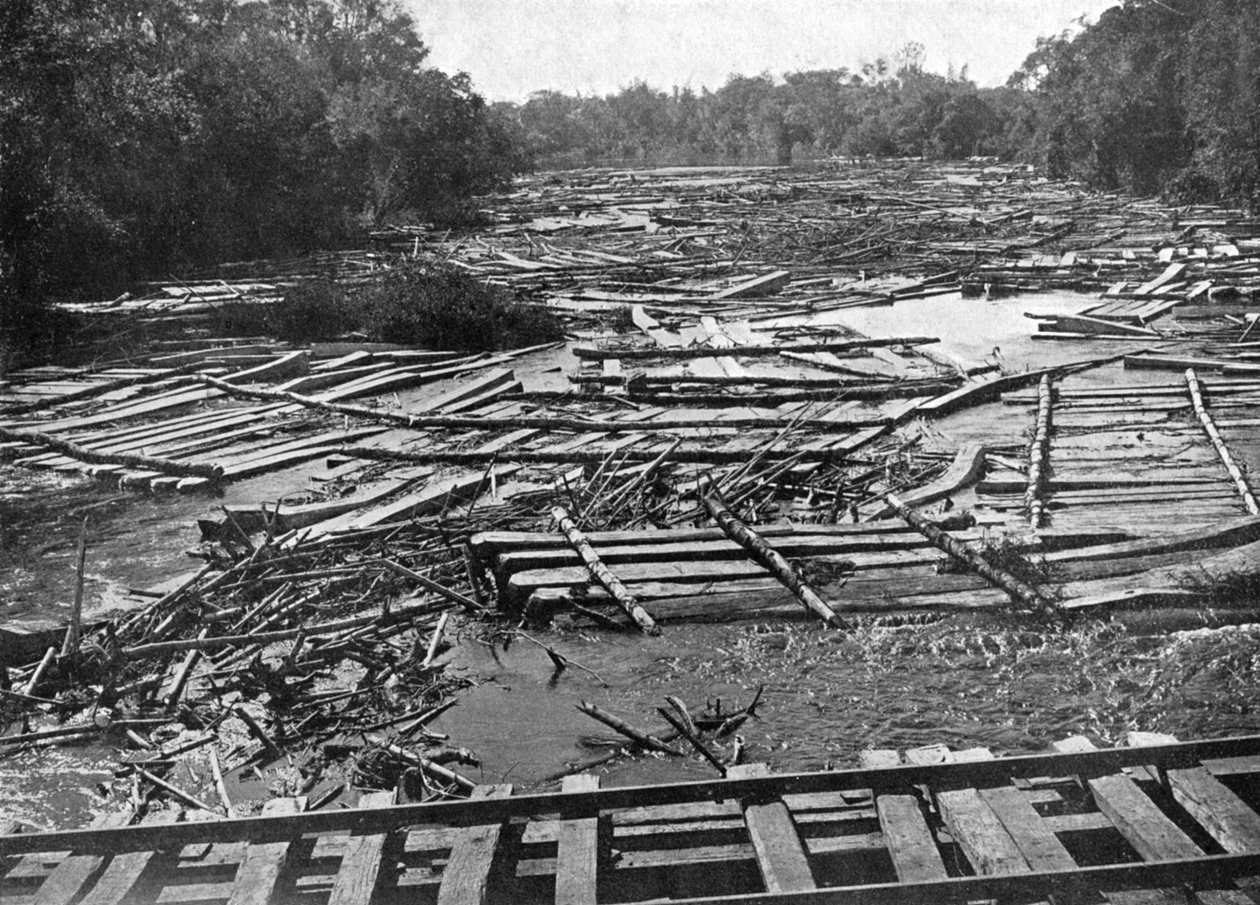 Cederstockar på floden Tebicuary-Guazu som flyter vid järnvägsbron, Paraguay, 1911 av Unbekannt