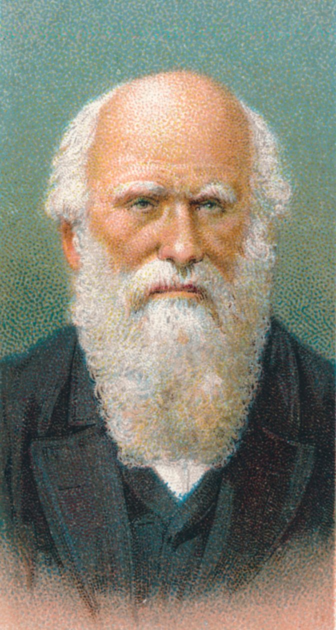 Charles Darwin 1809-1882, brittisk naturforskare, 1924 av Unbekannt