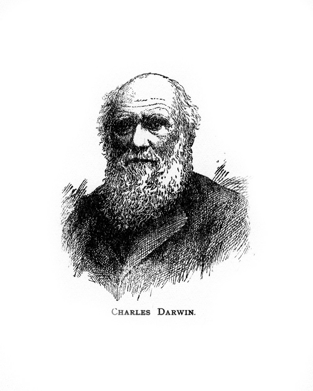 Charles Darwin, brittisk naturforskare från 1800-talet, 1900-talet av Unbekannt