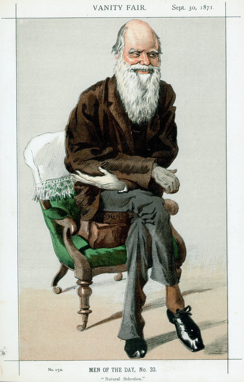 Charles Darwin, engelsk naturforskare, 1871 av Unbekannt