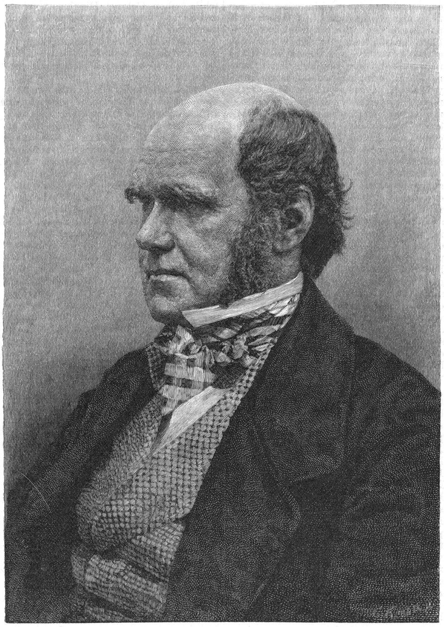 Charles Darwin, engelsk naturforskare, 1884 av Unbekannt