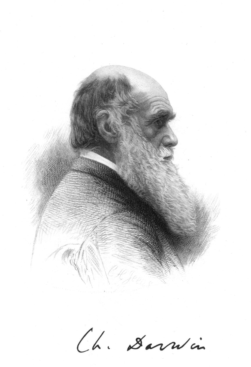 Charles Darwin, engelsk naturforskare, c1880 av Unbekannt
