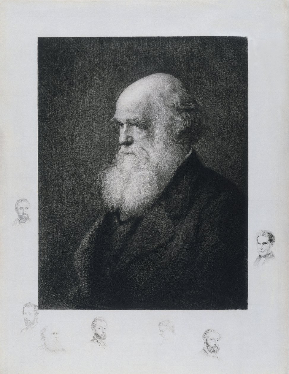 Charles Darwin, engelsk naturforskare, ca 1860-talet av Unbekannt