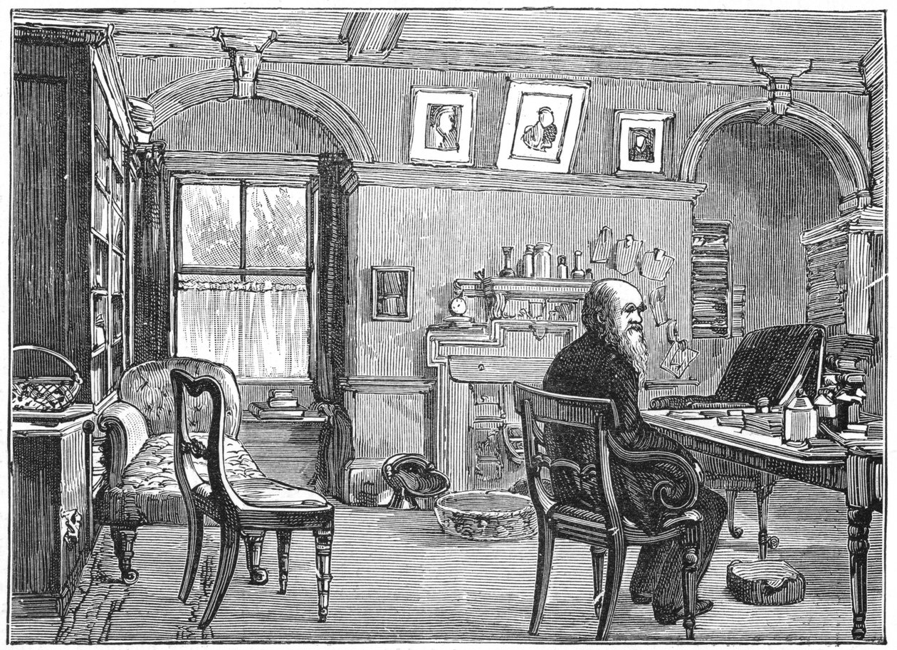 Charles Darwin, engelsk naturforskare, i sin studie, c1870 1887 av Unbekannt
