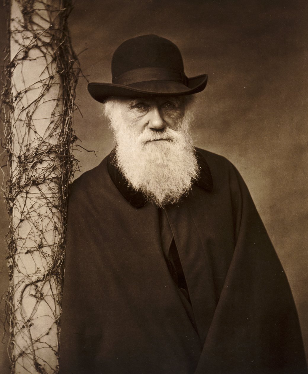 Charles Darwin i sitt hem i Down House, Kent, c1880 av Unbekannt