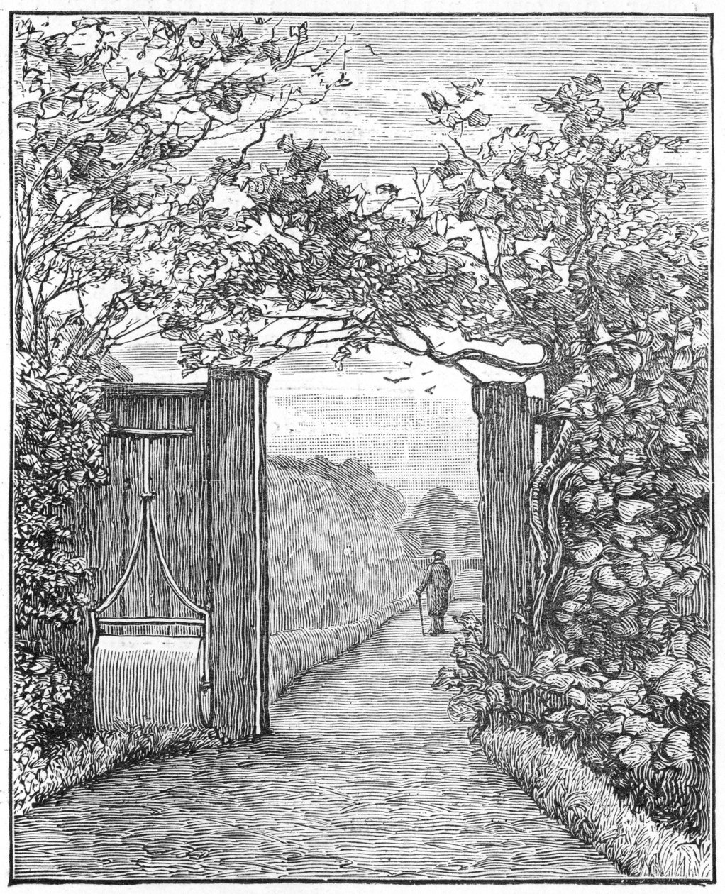 Charles Darwin i sanden promenad på Down House, c1870 1887 av Unbekannt