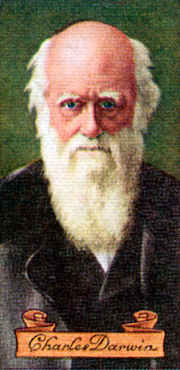 Charles Darwin, hämtat från en serie cigarettkort, 1935 av Unbekannt