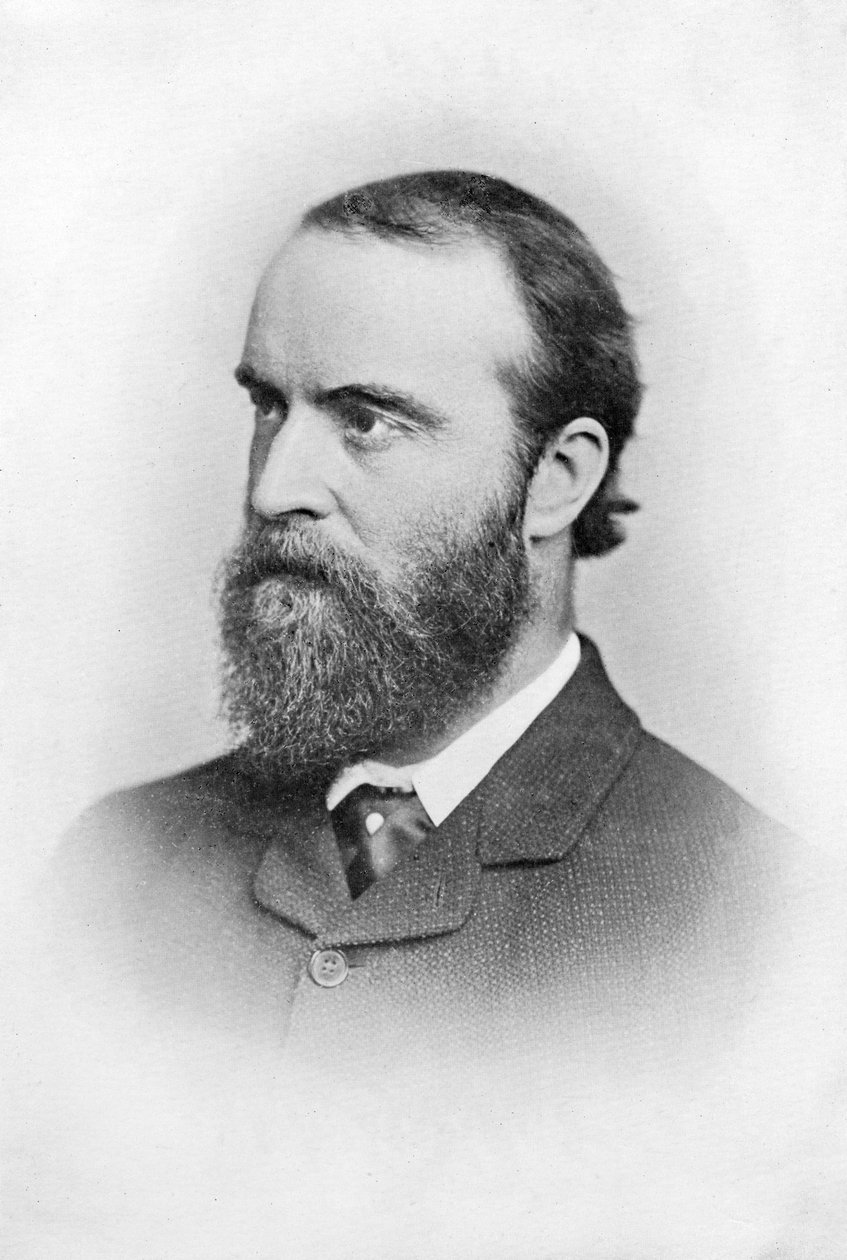 Charles Stuart Parnell, irländsk politiker från 1800-talet, c1874-1891 av Unbekannt