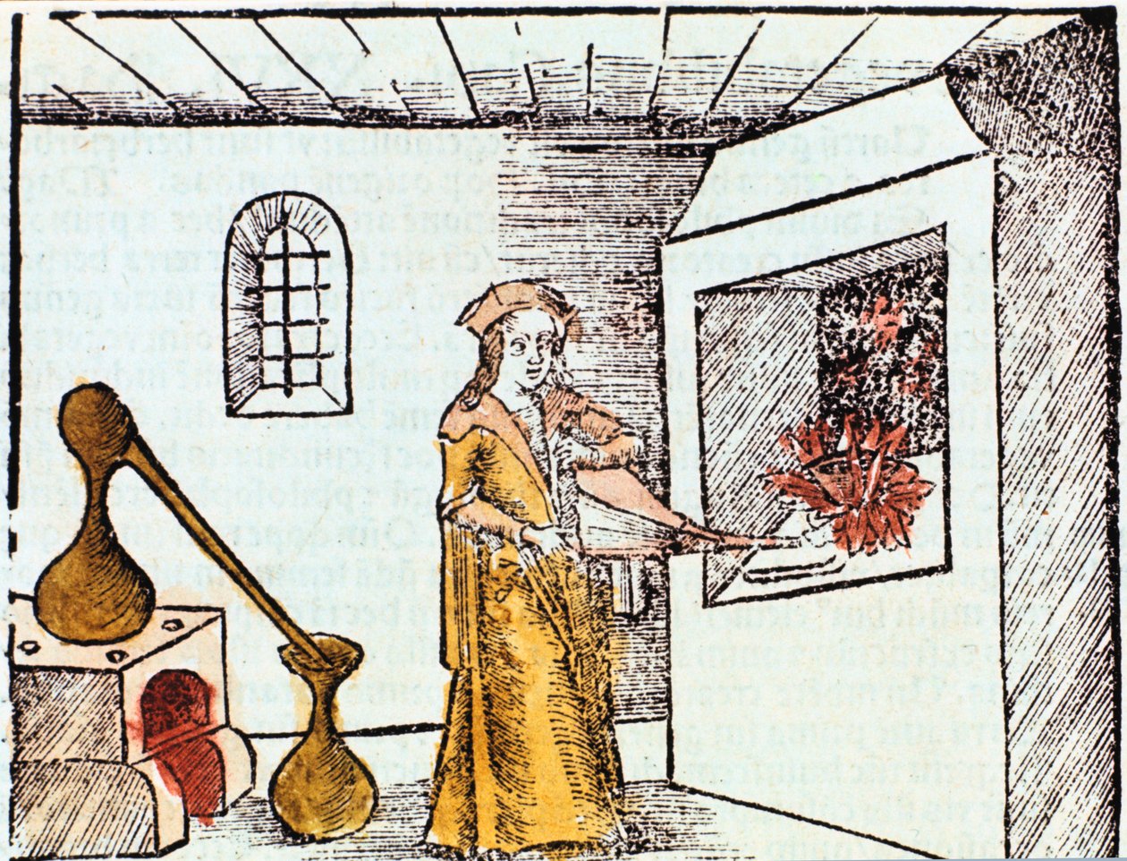 Kemist, 1508 av Unbekannt
