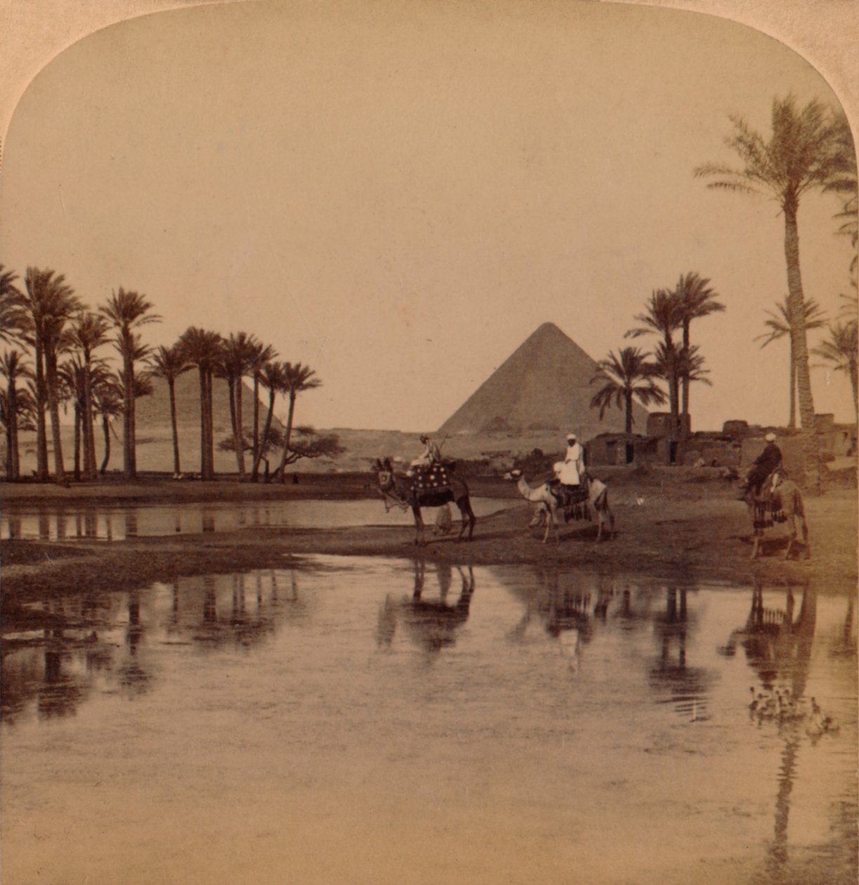 Cheops från Nilens bördiga dal, Egypten, 1896 av Unbekannt