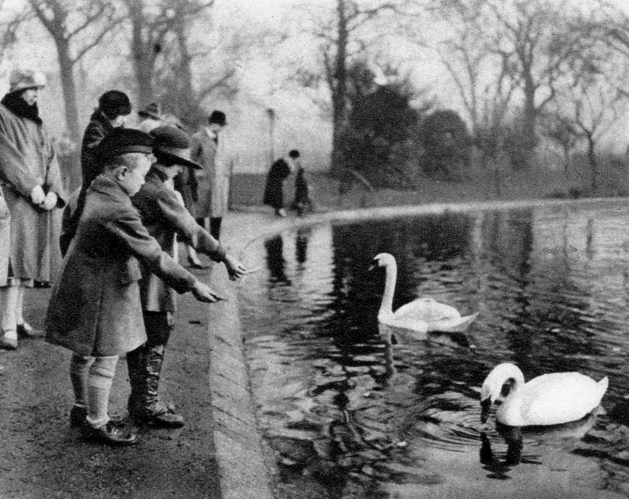 Barn som matar svanarna på Serpentine, London, 1926-1927 av Unbekannt