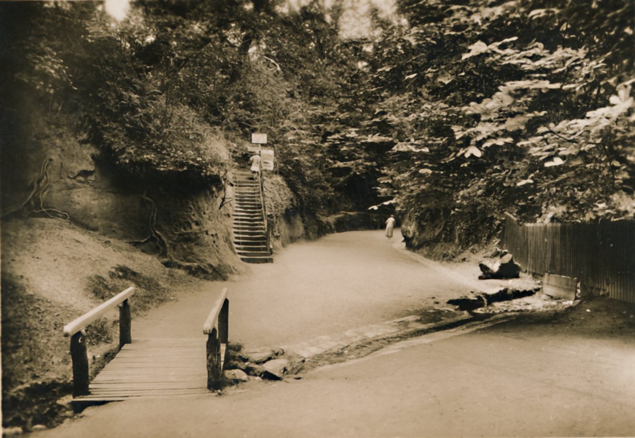 Chine Hollow, Shanklin, I.W., c1920. av Unbekannt