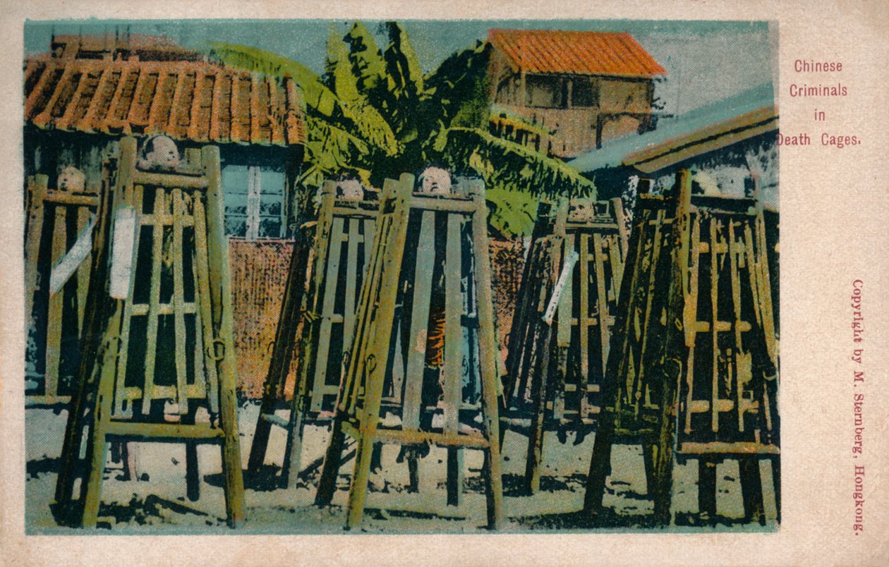 Kinesiska brottslingar i dödsburar, c1900 av Unbekannt