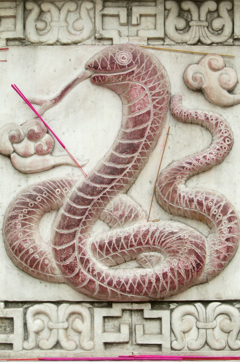 Kinesiskt astrologiskt tecken. Vitt moln tempel Beijing Kina av Unbekannt