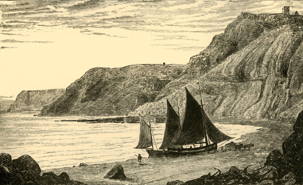 Klippor nära Whitby, 1898. av Unbekannt