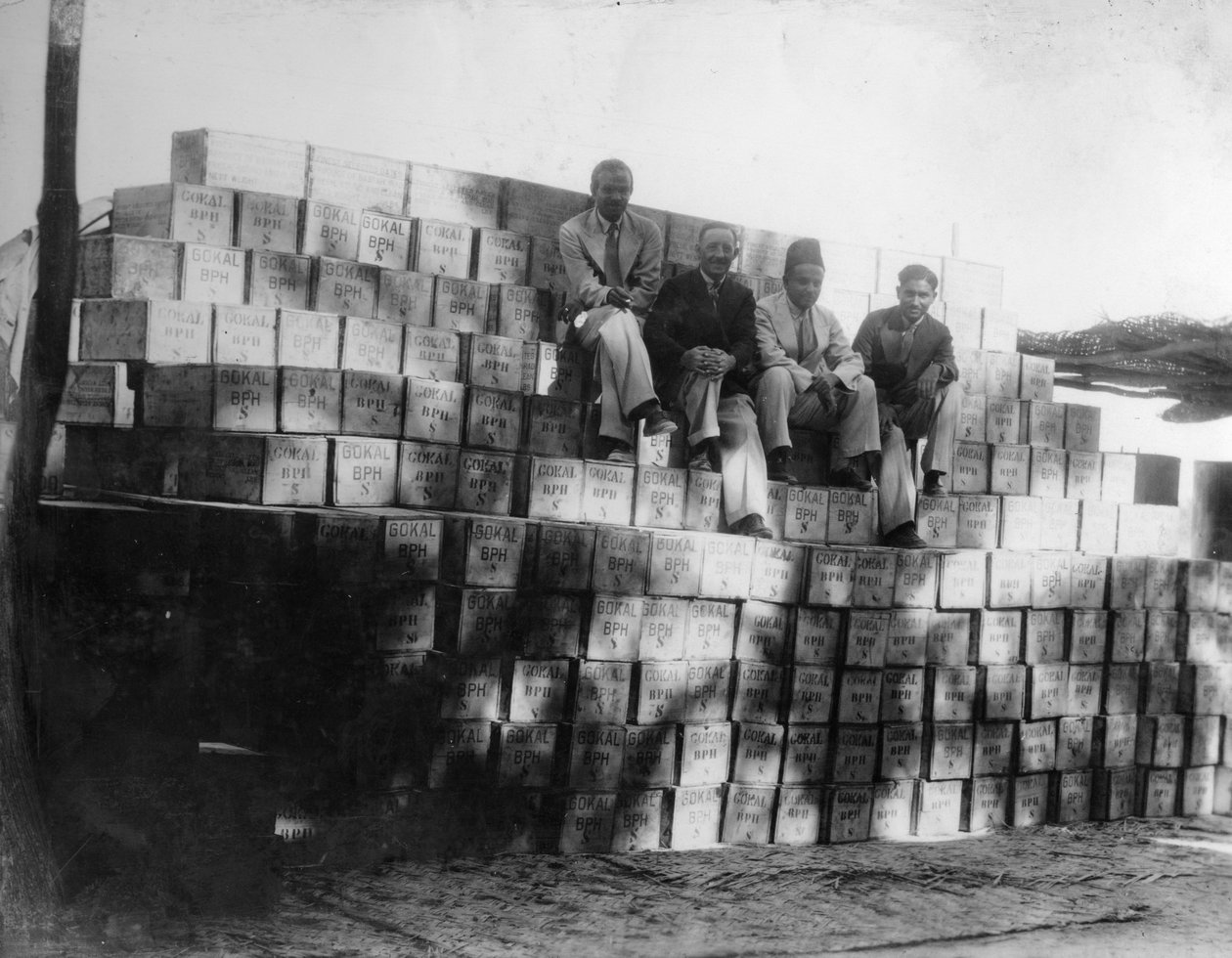 Kokosnötsproduktion, Indien, 1900-talet av Unbekannt