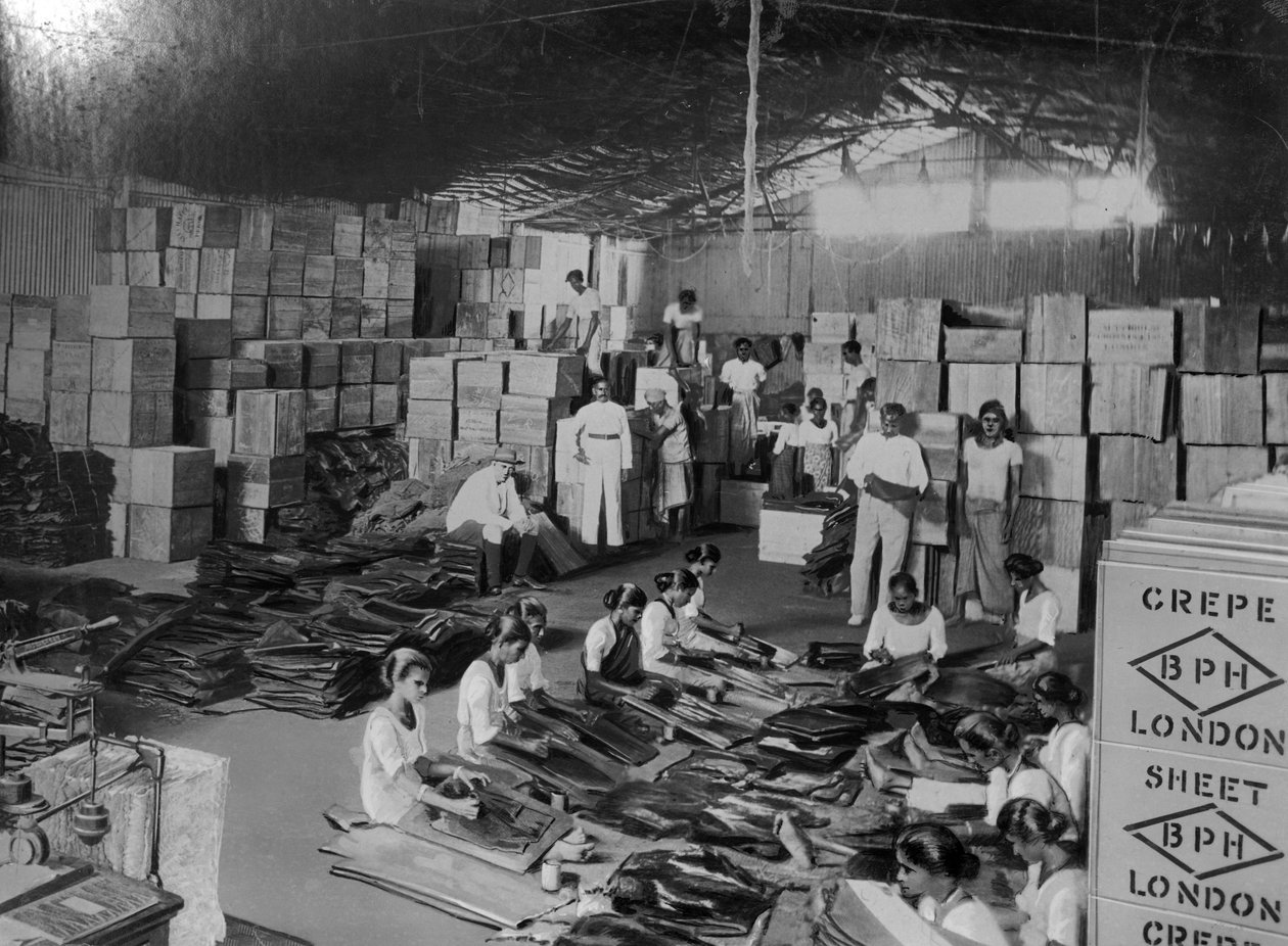 Kokosnötsproduktion, Indien, 1900-talet av Unbekannt
