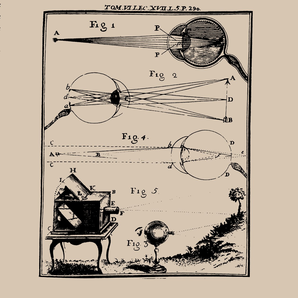 Jämförande skildring av det mänskliga ögat och camera obscura, 1700-talet. av Unbekannt