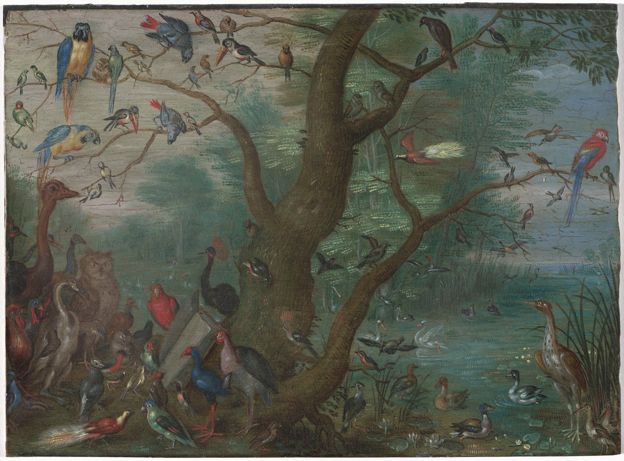 Fågelkonsert, 16601670. av Unbekannt