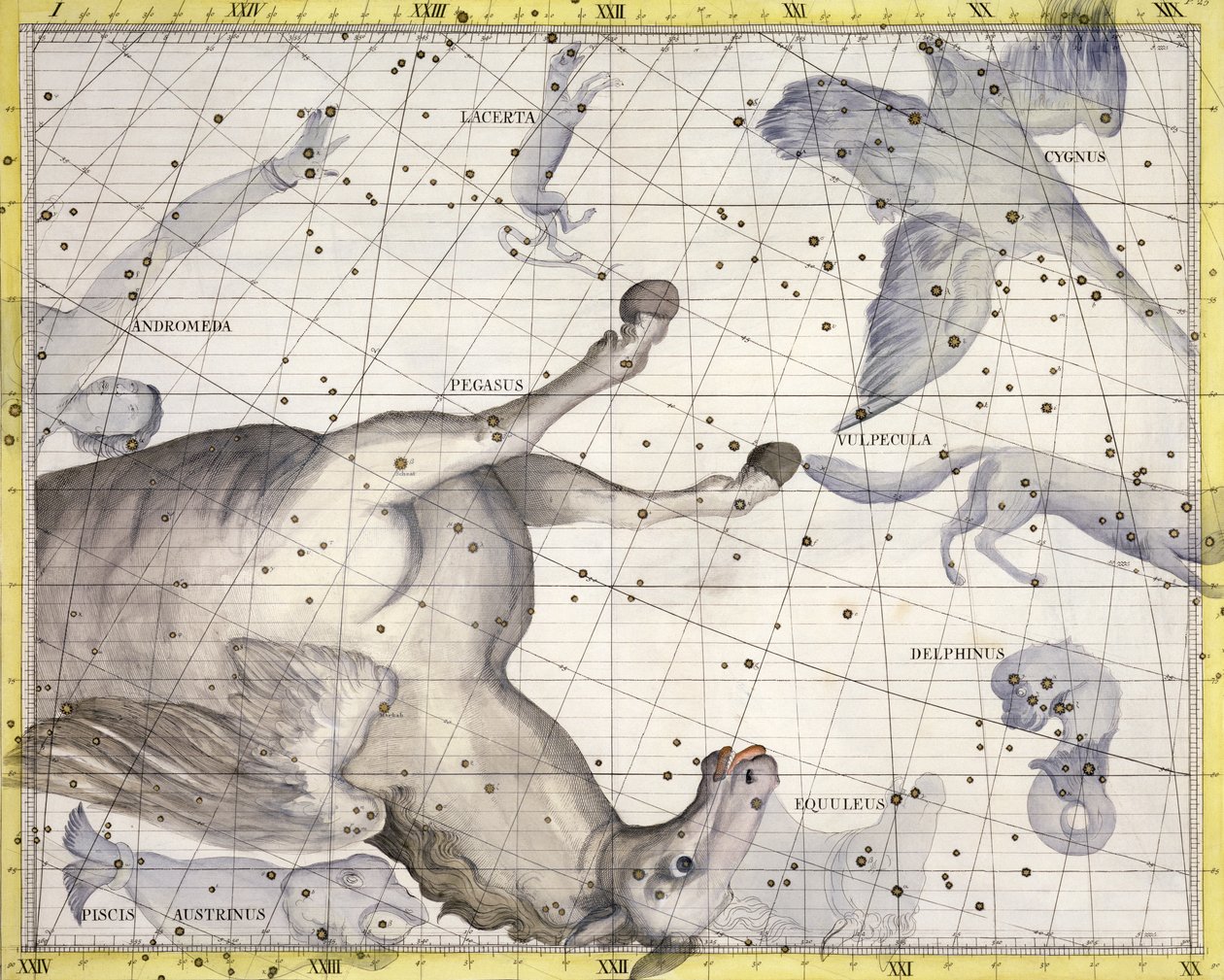 Stjärnbilden Pegasus, 1729 av Unbekannt