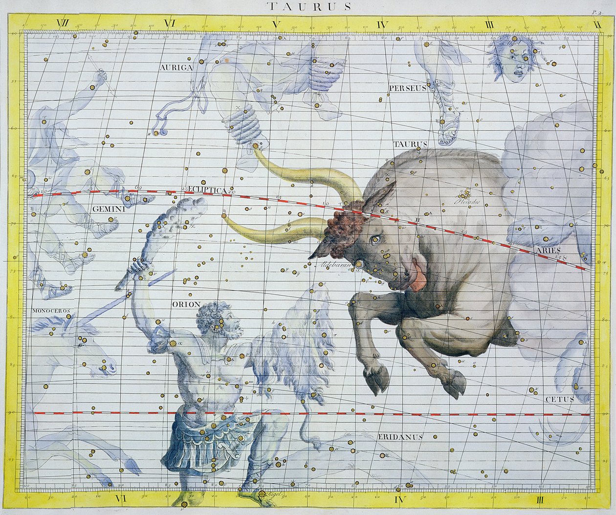Oxens stjärnbild, 1729 av Unbekannt