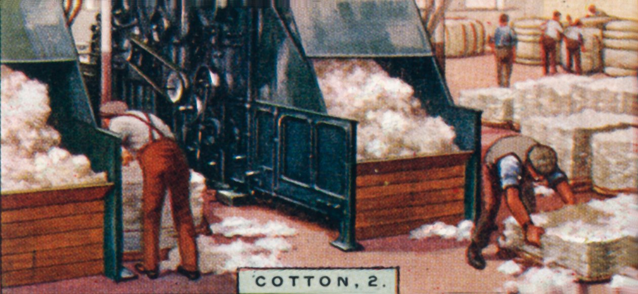 Cotton, 2. - Breaking up bales in Mixing Room, England, 1928 av Unbekannt