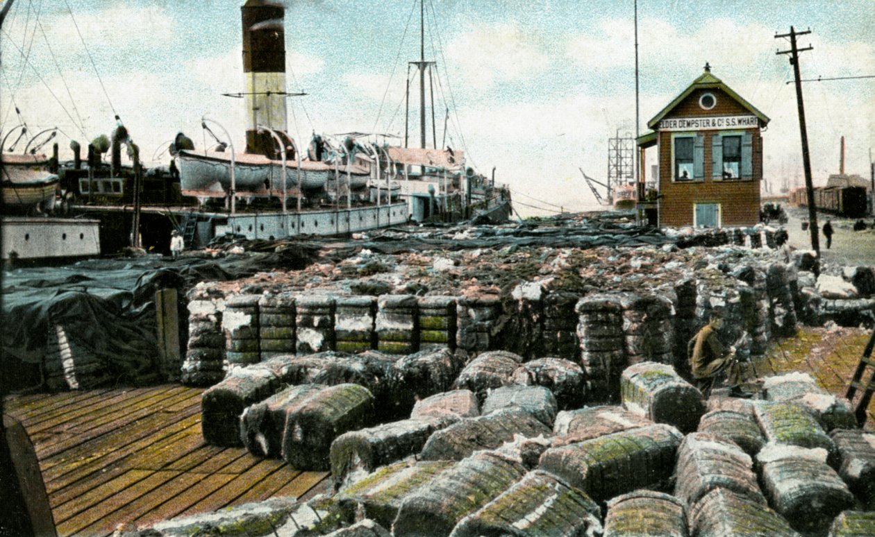 Cotton Wharves, New Orleans, Louisiana, USA, tidigt 1900-tal av Unbekannt
