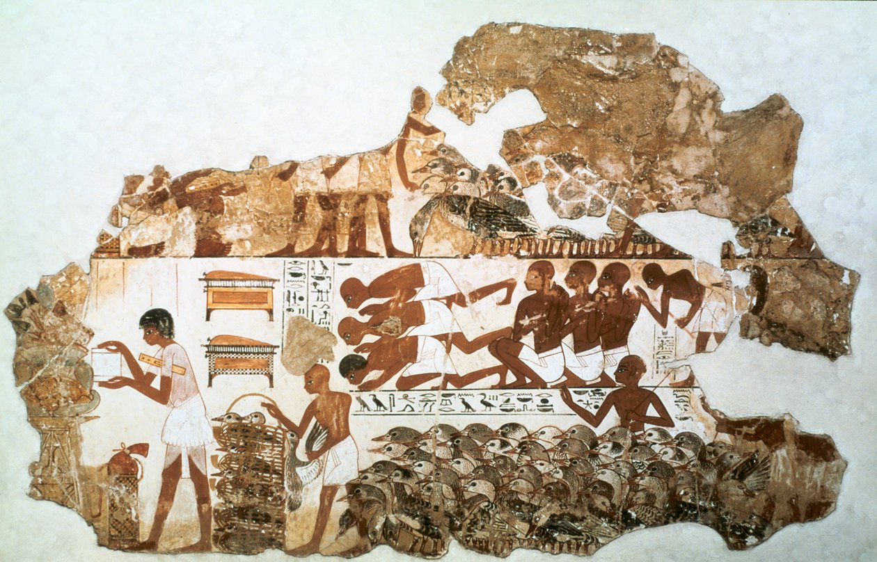 Räkna gässen: fragment av väggmålning från Nebamuns grav, Thebe, Egypten, c1350 f.Kr. av Unbekannt