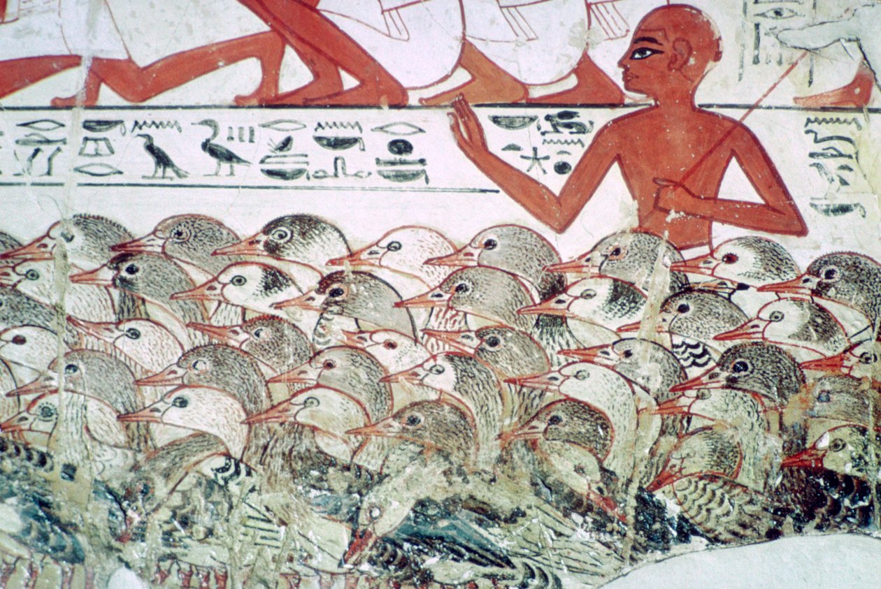 Räkna gässen: fragment av väggmålning från Nebamuns grav, Thebe, Egypten, c1350 f.Kr. av Unbekannt
