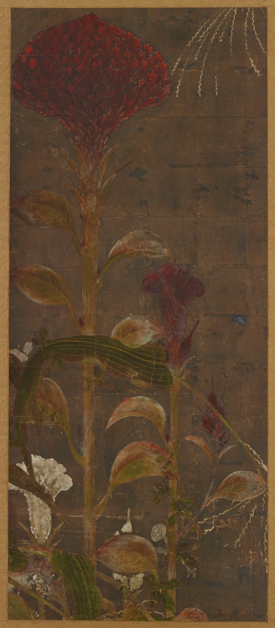 Coxcombs, majs och morgonhärligheter, Momoyama-perioden, 1568-1615. av Unbekannt