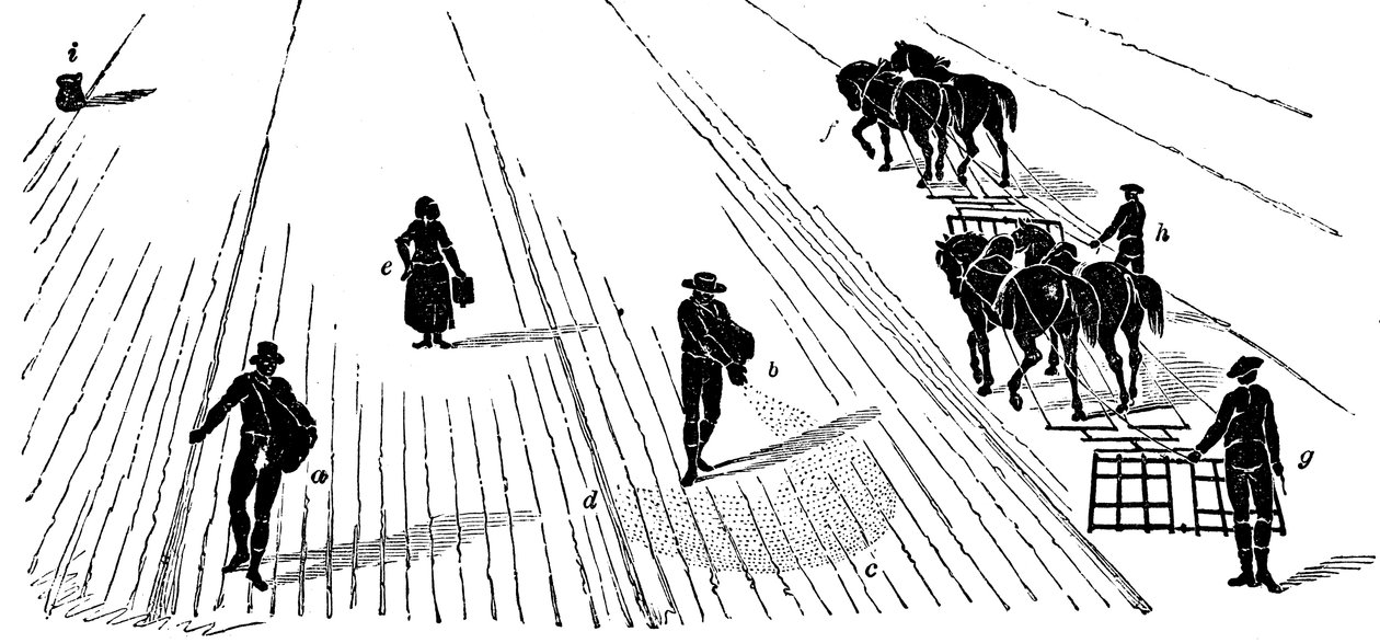 Växelbruk: sådd och harvning av majs, 1855 av Unbekannt