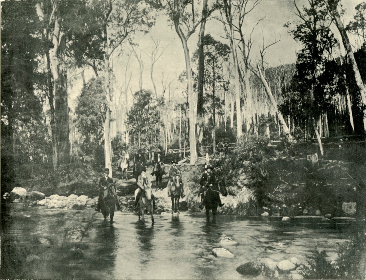 Korsar floden, nära Buffalo Falls, 1901. av Unbekannt