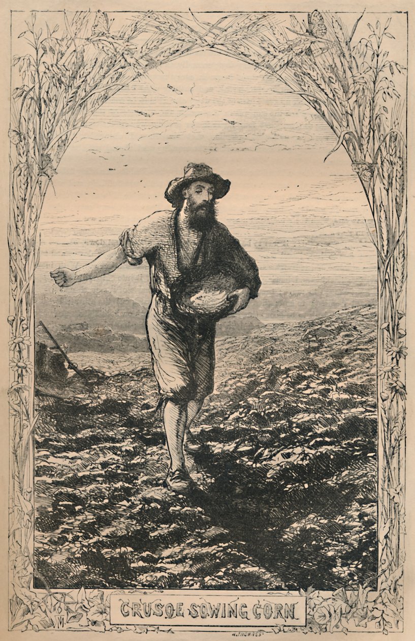 Crusoe sådd majs, c1870 av Unbekannt