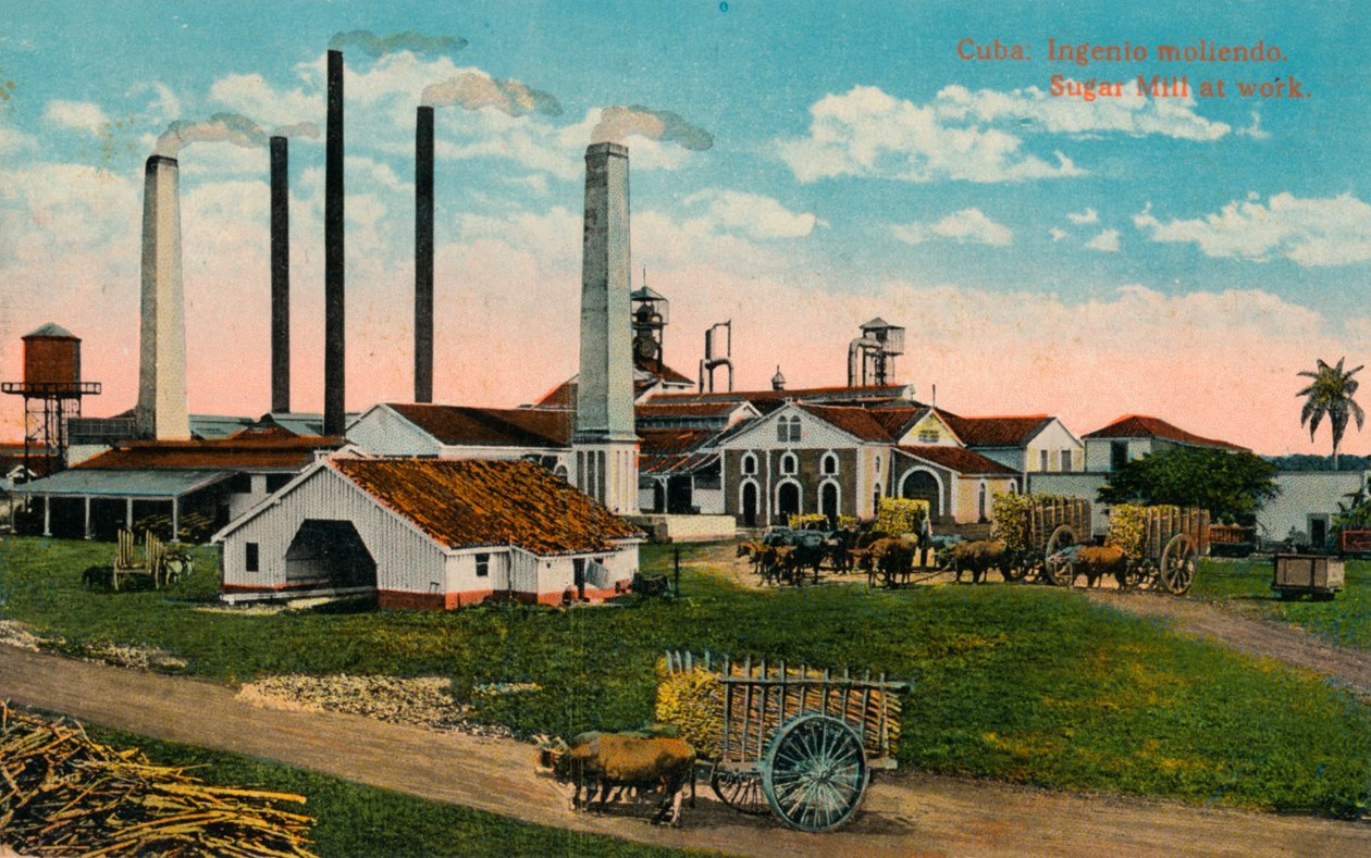 Kuba: Ingenio moliendo. Sockerkvarn på jobbet, c1900 av Unbekannt