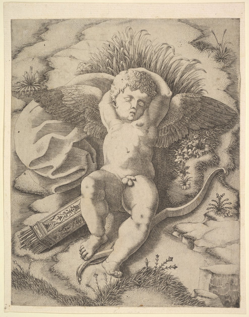 Cupid sover, 1500-talet. av Unbekannt