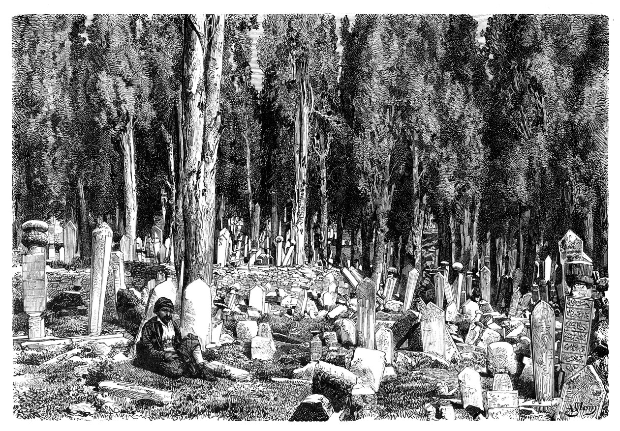 Cypresser på kyrkogården i Scutari, Turkiet, 1895 av Unbekannt