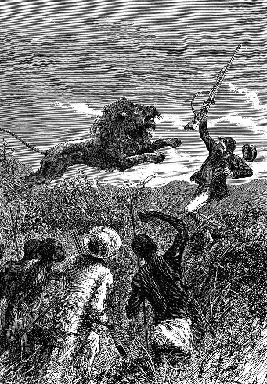 David Livingstone, skotsk missionär och afrikansk upptäcktsresande, anklagas av ett lejon, c1860 av Unbekannt